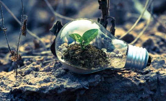 Our Journey in the Energy Industry and the Creation of The Grid Community